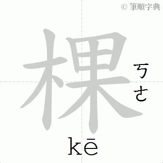 棵造詞|棵造詞，棵字的造詞